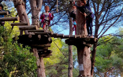 Les écoliers grimpent aux arbres