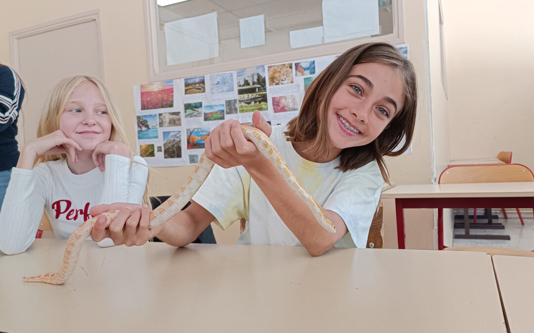 Ambassadeurs pour la protection des serpents
