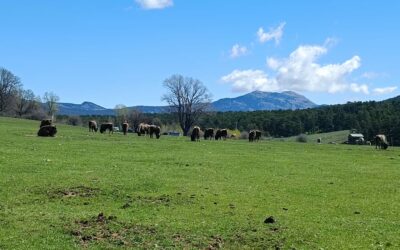 Découverte de la Réserve des Monts d’Azur