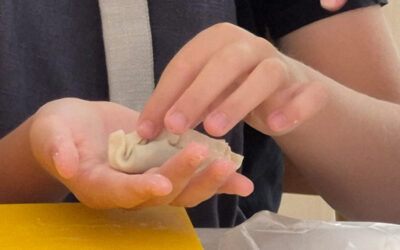 Atelier cuisine chinoise et vietnamienne