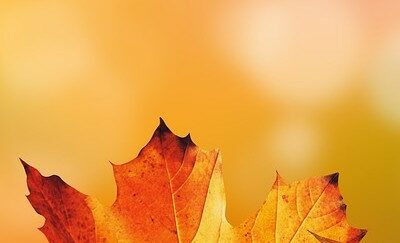 Le parachute et l’automne