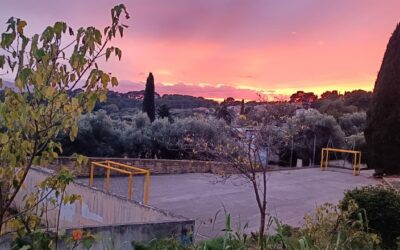 Passer à l’action pour notre environnement
