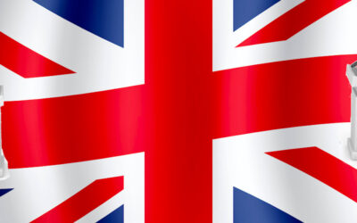 Les équipes du Debateam à Brignoles