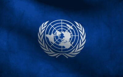 Simulation MUN au Lycée Général