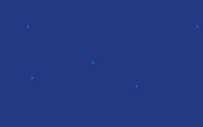 Premier Job Shadowing